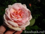 A Shropshire Lad A Shropshire Lad