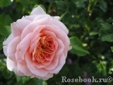 A Shropshire Lad A Shropshire Lad