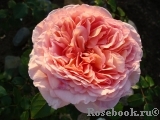 Abraham Darby Abraham Darby