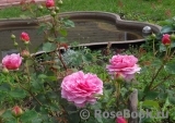 Princess Alexandra of Kent Princess Alexandra of Kent
