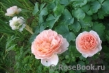 Abraham Darby Abraham Darby