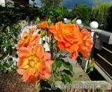 Westerland Westerland
