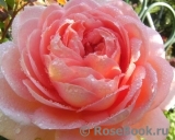 Abraham Darby Abraham Darby