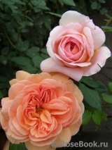 Abraham Darby Abraham Darby
