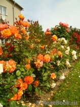 Westerland Westerland
