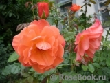 Westerland Westerland