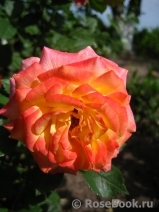 Gartenspass ® Gartenspass ®