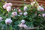 A Shropshire Lad A Shropshire Lad