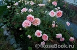 Abraham Darby Abraham Darby