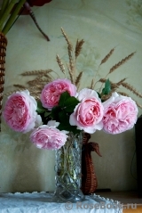 COMPOSITION COMPOSITION