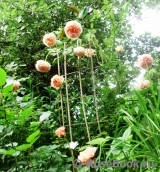 Abraham Darby Abraham Darby