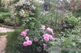 Gertrude Jekyll Gertrude Jekyll