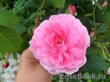 Ispahan Ispahan