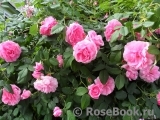 Ispahan Ispahan