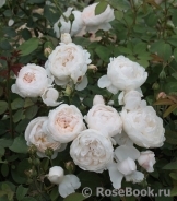 Glamis Castle® Glamis Castle®