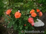 Westerland Westerland