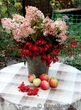 COMPOSITION COMPOSITION