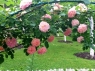 Аватар пользователя - Veronika2009