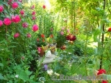Provence-Allochka