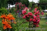 rosengarten