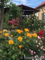 zhilina-marina zhilina-marina